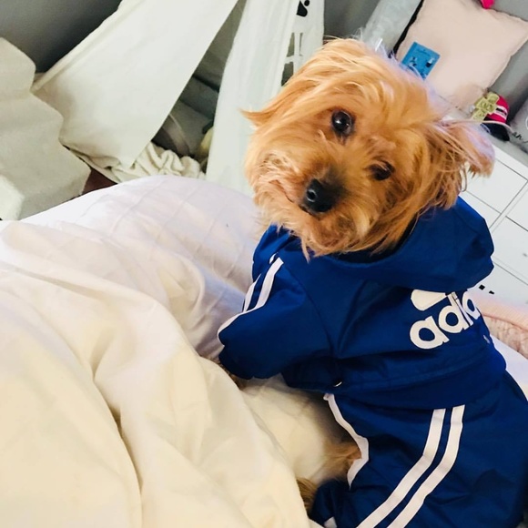 Meet your Posher - Picture 5 of 12